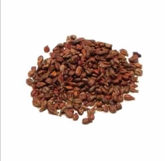Óleo de Semente de Uva Orgânico Terra Flor - comprar online