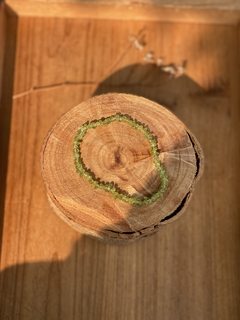 Pulseira Cascalho Peridoto - comprar online