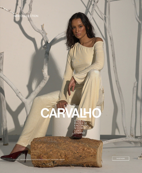 Carrossel 1