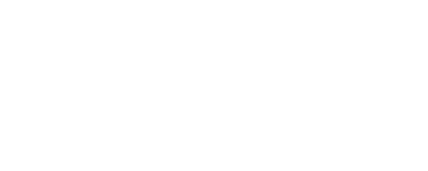 MOLCAJETE diseño con ingredientes oaxaqueños