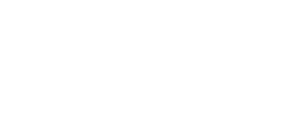 MOLCAJETE diseño con ingredientes oaxaqueños