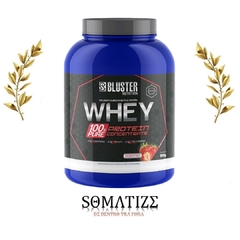 100% Whey Bluster Nutrition 900g - POTE na internet