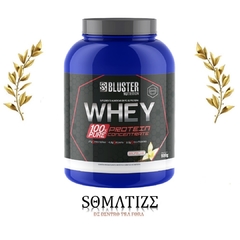 100% Whey Bluster Nutrition 900g - POTE - comprar online