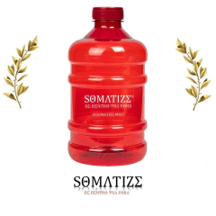 Galão personalizado 01 Litro Somatize ®️ na internet