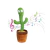 CACTUS BAILARIN