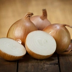 CEBOLLA