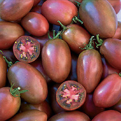 TOMATE NEGRO PERITA