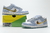 Sean Cliver x Nike SB Dunk Low na internet