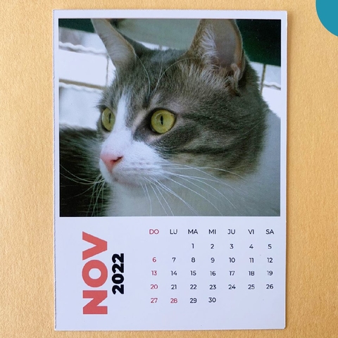 Calendario Polaroid Imantado 2026 - Personalizable