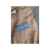 Blazer “Christian Dior” (Importado) - comprar online