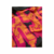 Bandeira "Nasty" - comprar online
