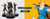 Banner de Colecionare