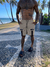 Bermuda cargo tk collection - comprar online