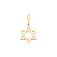 Pingente estrela de davi banhado a ouro 18k - 54013600