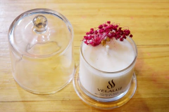 Caribe Candle en internet