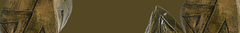 Banner da categoria Madeleine
