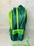 Mochila "Trendy" 16" - comprar online