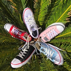 ALL Star Slim - WS House