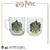 Pack Taza + Vaso Color Slytherin (Harry Potter)
