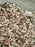 VESTIDO CUELLO VOLADOS OLD BUNCH - comprar online