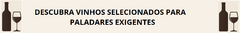 Banner da categoria EXPERIENTE 