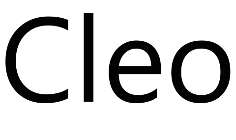 cleo textil