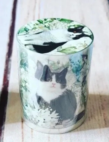 Washi tape gatinho PET