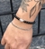 Pulsera Viento - comprar online
