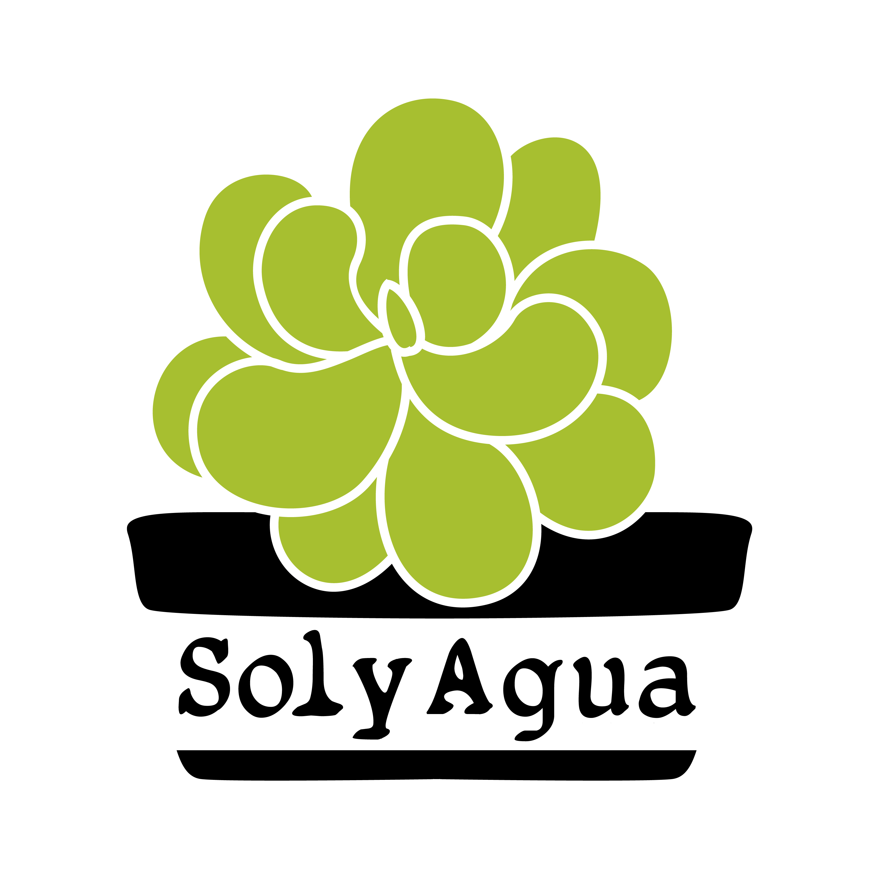 solyagua