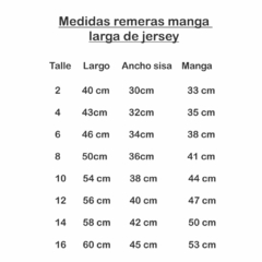 Remeras manga larga lisas