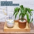 Bandeja De Bambu Com Palha Natural Retangular 39cm – Oikos - Avença