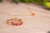 Aliança corações pink - comprar online