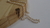 Chocker em pérolas 1026 na internet