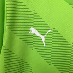 Palmeiras Goleiro 2023/24 - loja online