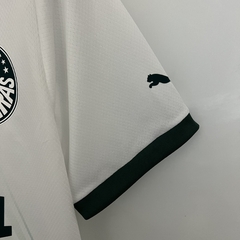 Imagem do Palmeiras Away 2023/24