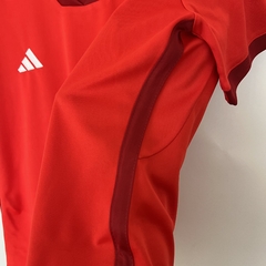 Internacional Home 2023/24 Feminina - RecFut
