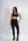 Conj. Basic Black [ Ref. 33 ]
