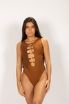 Boddy Ref. 14