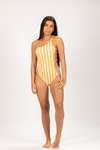 Boddy Ref. 23