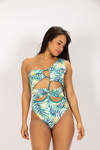 Boddy Ref. 19