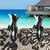 CLIPS PARA REPOSERA ORCA - Bamboo