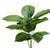 PLANTA 24 HOJAS LISAS 80CM 819600