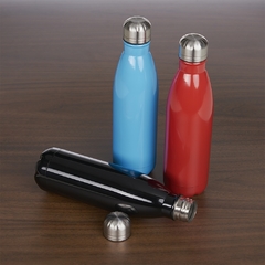 Garrafa em inox personalizada e pintura brilhante 750 ml - comprar online