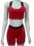 CONJUNTO SHORTS POLIAMIDA CÓS EM ELÁSTICO COM PROTEÇÃO UV50+ - comprar online