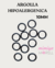 Argolla Hipoalergenica 10mm x 10 unidades - comprar online