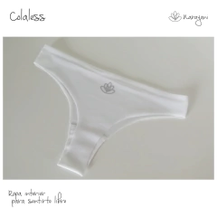 Panty Laksmi en internet