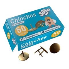 CHINCHE COMUN 50