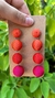 Brinco Maceió Laranja/Vermelho/Rosa - comprar online