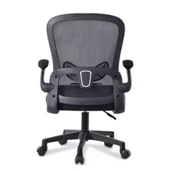 Cadeira Office Ergonômica GT Executiva PQ, em Nylon, Suporte Ajustável Lombar, Suporta Até 130KG - WZetta: Pcs, Eletrônicos, Áudio, Vídeo e mais