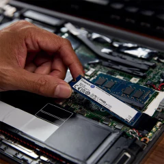 SSD M.2 NVMe 1TB Kingston NV3 PCIe 4.0 Leitura 6000MB/S Gravação 4000MB/S - SNV3S/1000G - 3 Anos de Garantia - WZetta: Pcs, Eletrônicos, Áudio, Vídeo e mais